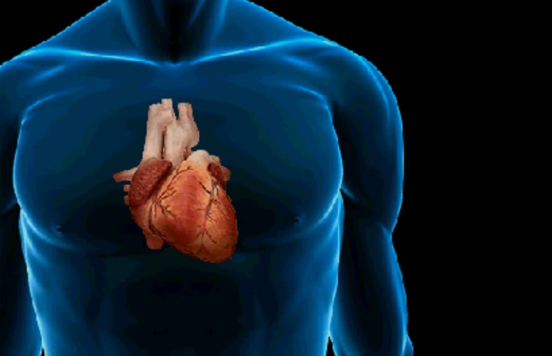 Srce i krvotok